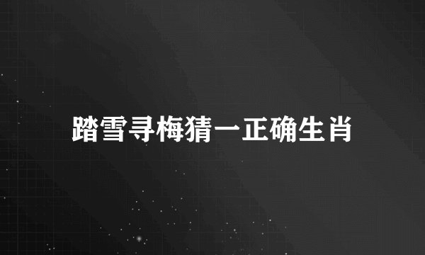 踏雪寻梅猜一正确生肖