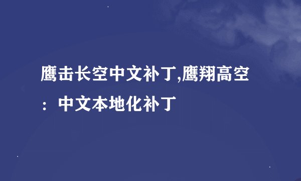 鹰击长空中文补丁,鹰翔高空：中文本地化补丁
