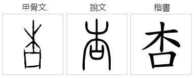 xing怎么读