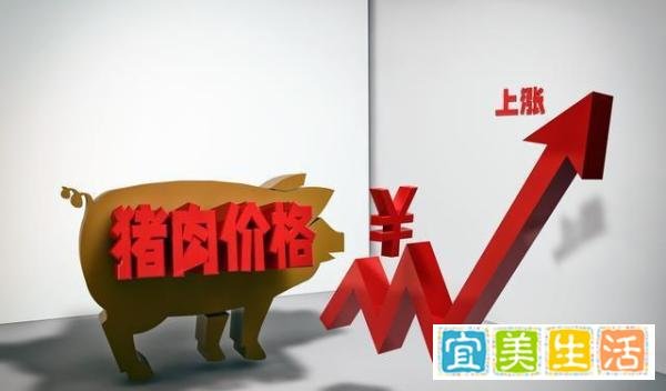台媒:岛内蛋价持续飙涨，生猪交易价格也创新高