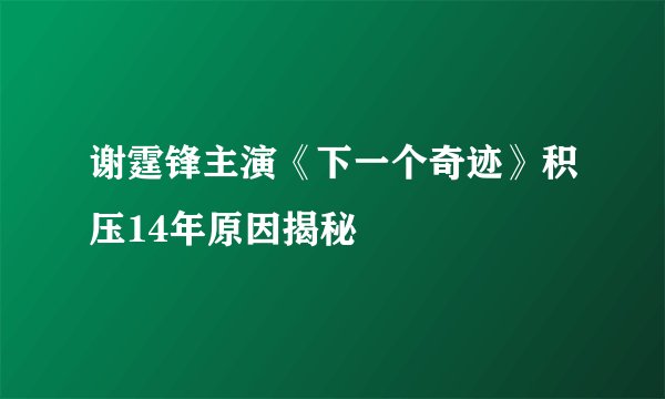 谢霆锋主演《下一个奇迹》积压14年原因揭秘