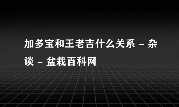 加多宝和王老吉什么关系 - 杂谈 - 盆栽百科网