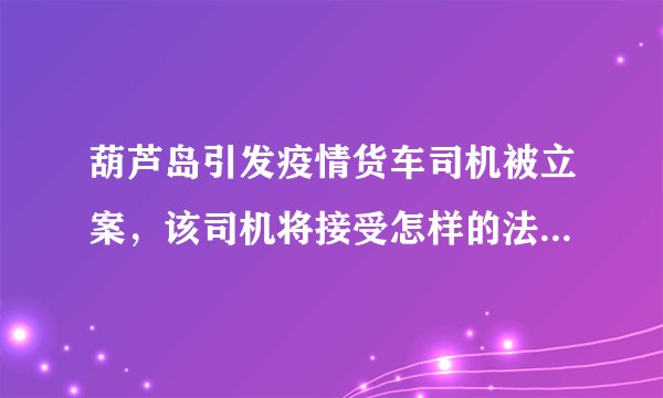 葫芦岛引发疫情货车司机被立案,该司机将接受怎样的法律制裁?