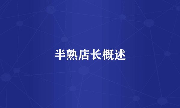 半熟店长概述