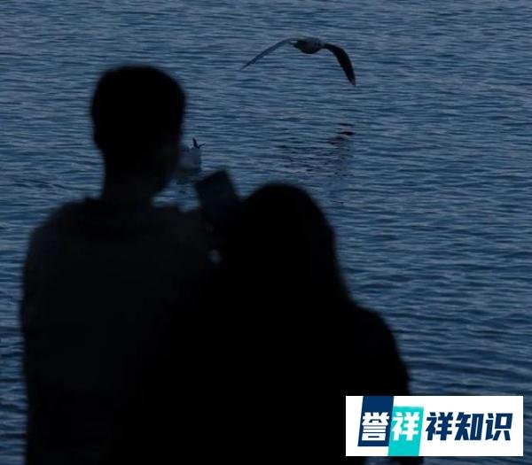 柳岩：情侣急着见家长？你做好准备了吗