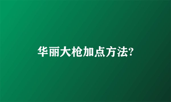 华丽大枪加点方法?