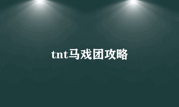 tnt马戏团攻略
