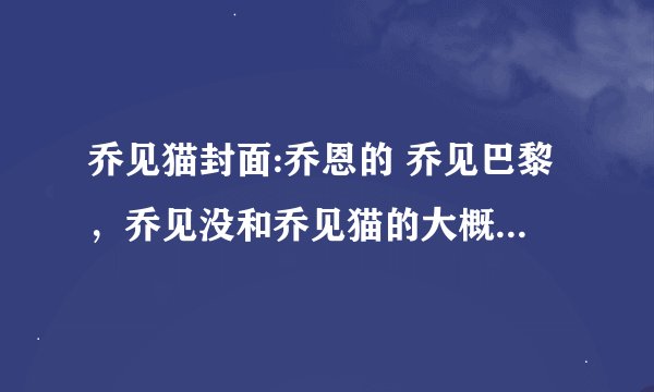 乔见猫封面:乔恩的 乔见巴黎，乔见没和乔见猫的大概内容是什么啊