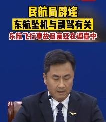 谣言！民航局辟谣东航坠机与副驾有关