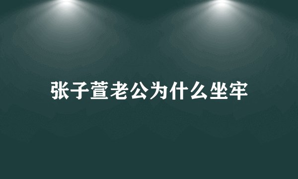 张子萱老公为什么坐牢