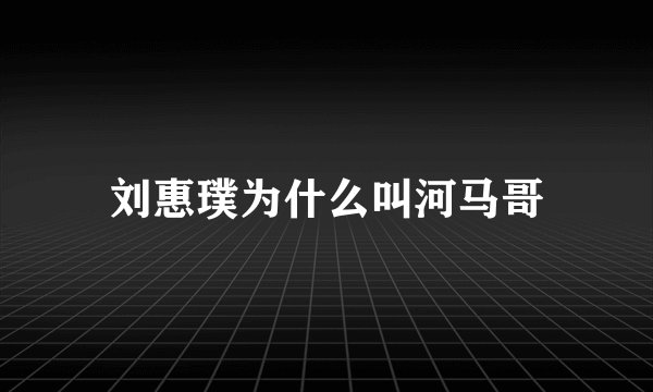 刘惠璞为什么叫河马哥
