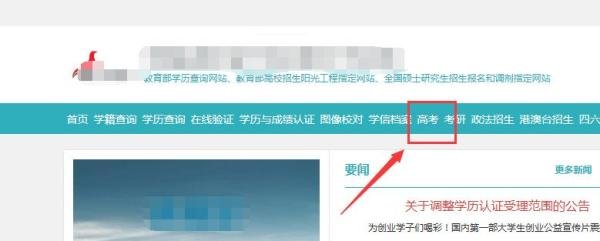 高考志愿填报高校招生网上咨询入口在哪