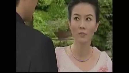 天地有情演员表全部