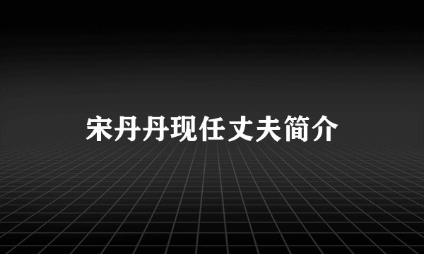 宋丹丹现任丈夫简介