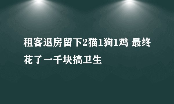 租客退房留下2猫1狗1鸡 最终花了一千块搞卫生
