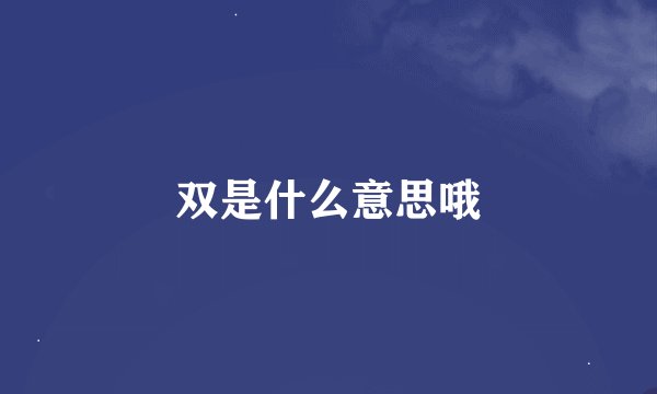 双是什么意思哦