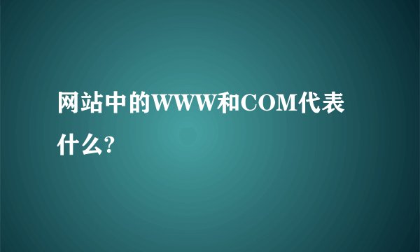 网站中的WWW和COM代表什么?