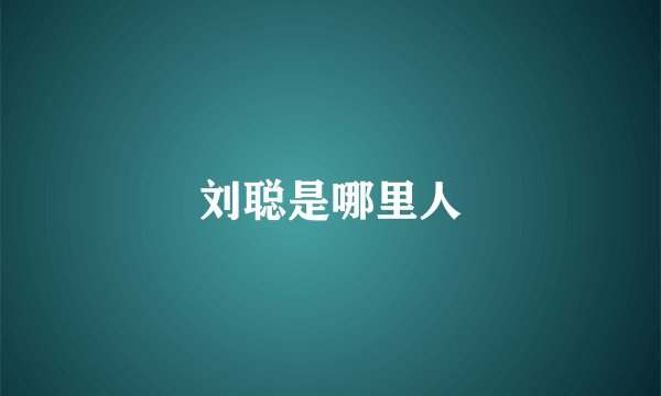 刘聪是哪里人