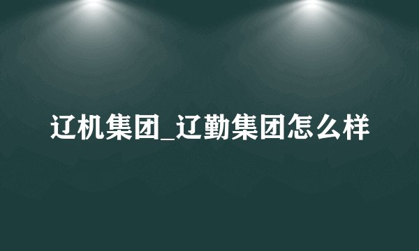 辽机集团_辽勤集团怎么样