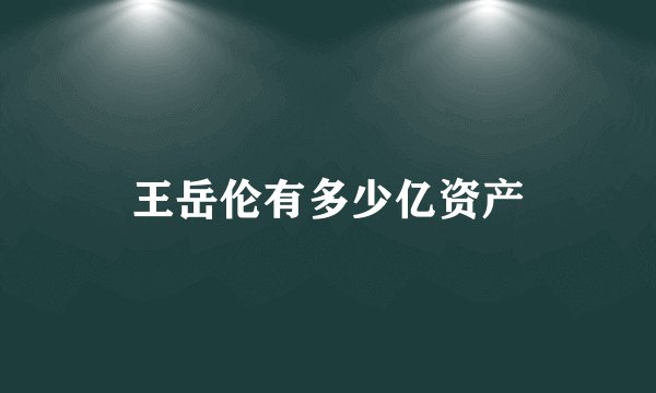 王岳伦有多少亿资产