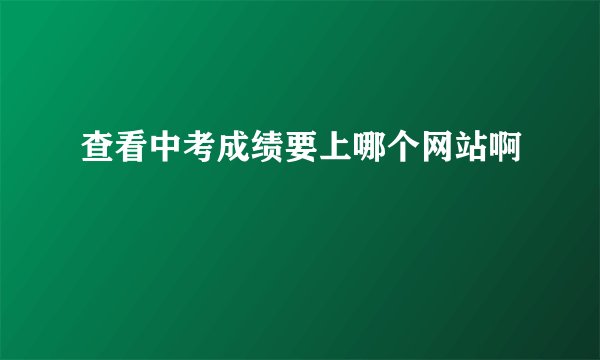 查看中考成绩要上哪个网站啊