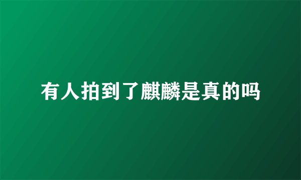 有人拍到了麒麟是真的吗