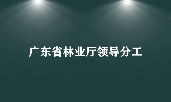 广东省林业厅领导分工
