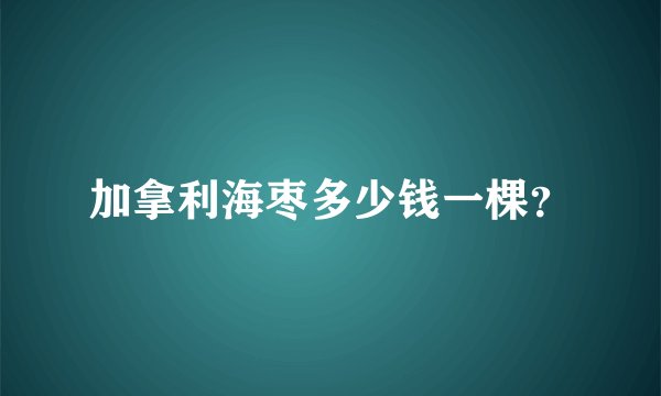 加拿利海枣多少钱一棵？