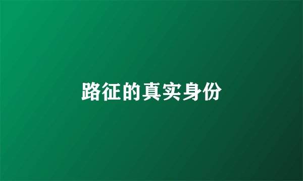 路征的真实身份