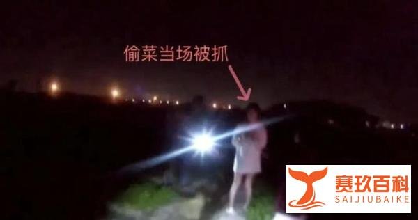 4女子为寻刺激半夜开豪车偷菜,离了大普!