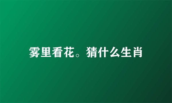 雾里看花。猜什么生肖