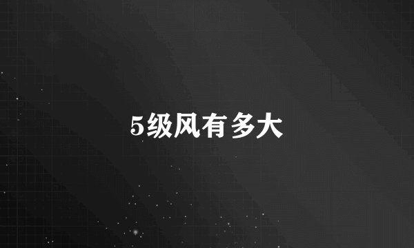 5级风有多大