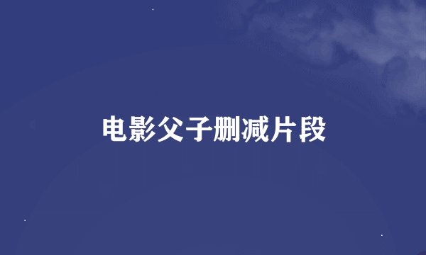 电影父子删减片段