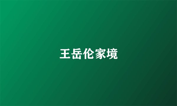 王岳伦家境