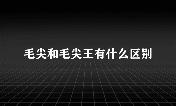 毛尖和毛尖王有什么区别