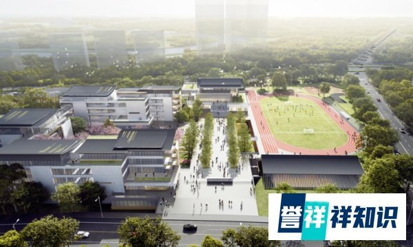 王炸来了！树德实验、石室联中都将开办高中！青羊区家长欢呼吧！