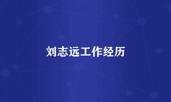 刘志远工作经历