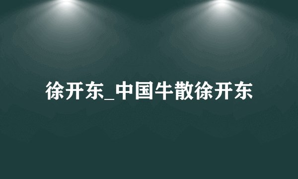 徐开东_中国牛散徐开东