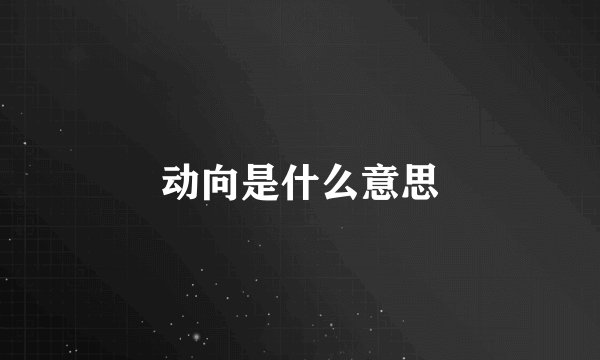 动向是什么意思