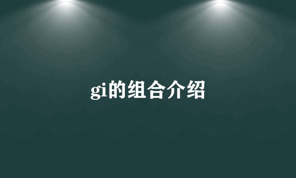 gi的组合介绍