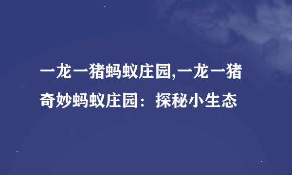 一龙一猪蚂蚁庄园,一龙一猪奇妙蚂蚁庄园：探秘小生态