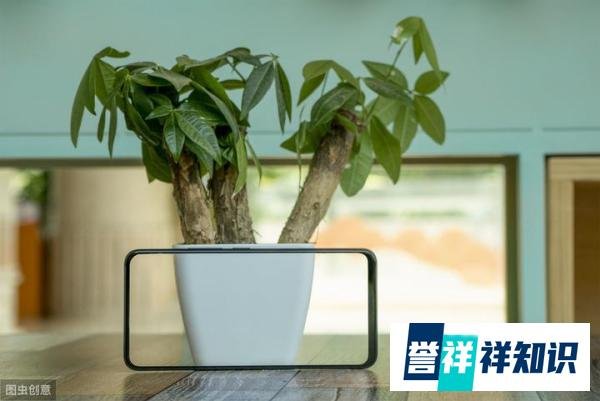 全球首款屏下摄像头手机即将发布，居然是这家手机厂商