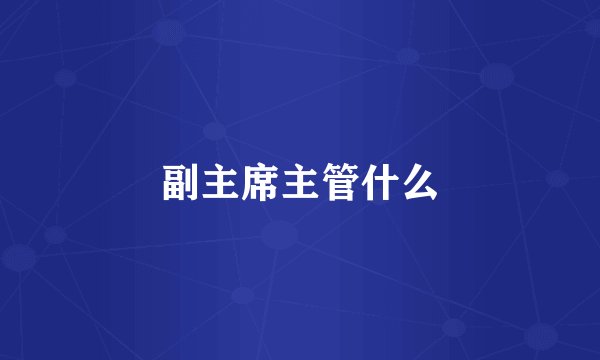 副主席主管什么