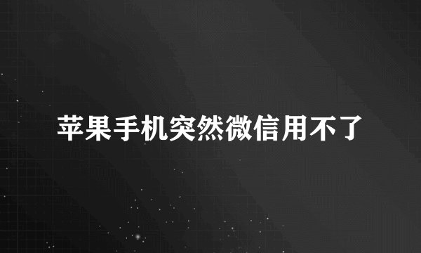 苹果手机突然微信用不了