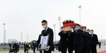 王毅接已故大使杜伟回家