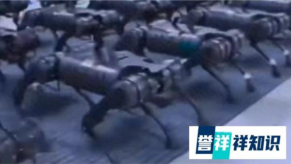 中国军演“机器狗”火了！美网友质问美军：为何美国没这些装备？