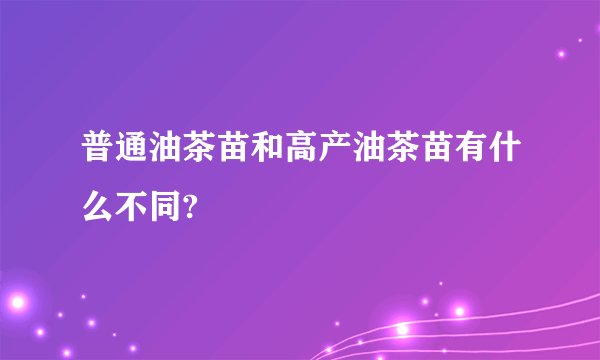 普通油茶苗和高产油茶苗有什么不同?