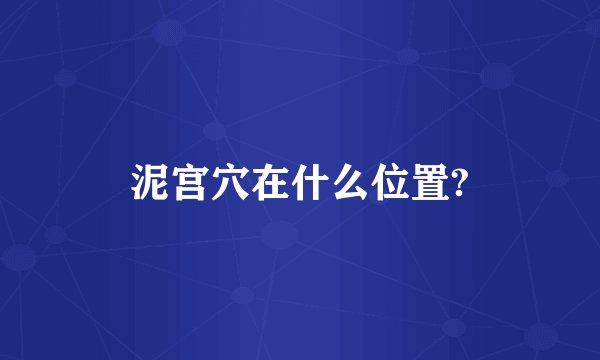泥宫穴在什么位置?