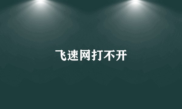 飞速网打不开