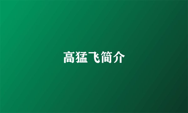 高猛飞简介